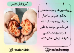 ویتامین ها و مواد معدنی موجود در ساختار کلروفیل هیلر |هیلر بیوتی