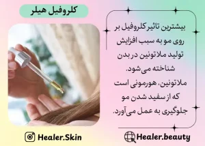تاثیر کلروفیل برای مو |هیلر بیوتی